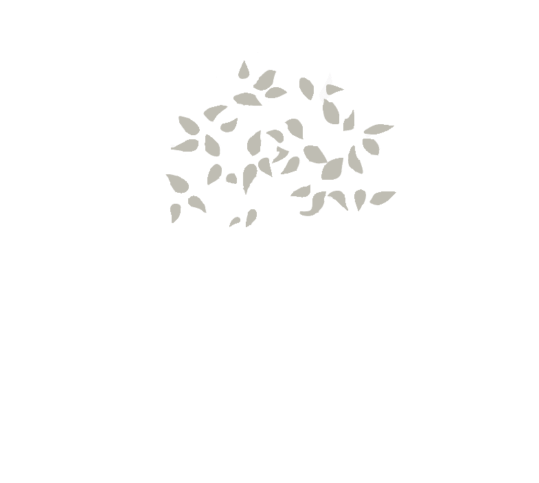 VALETYS Stratégies Patrimoniales